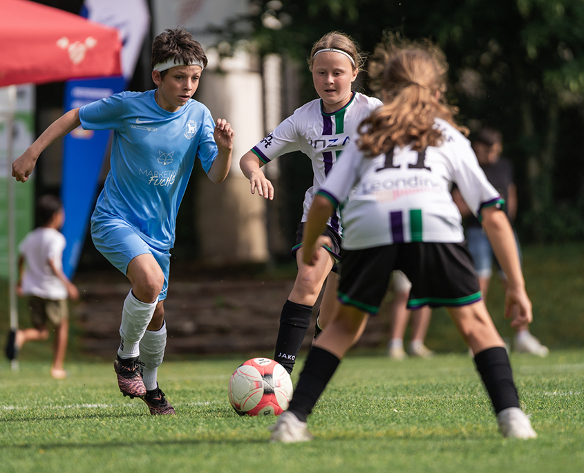 Urtypen-A7402556-1500x430