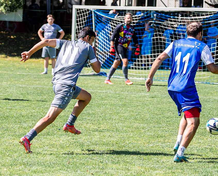 Urtypen-A7403669-1500x430